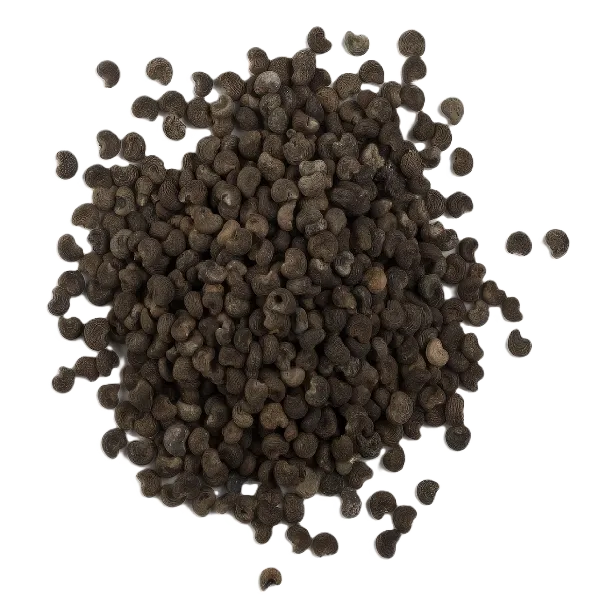 Almizcle Ambreta