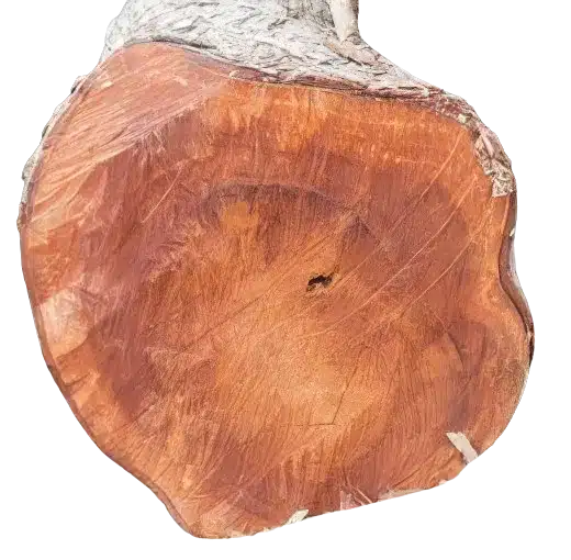 Caoba