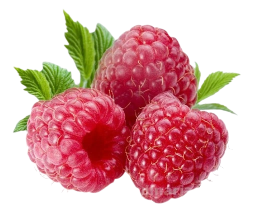 Frambuesa