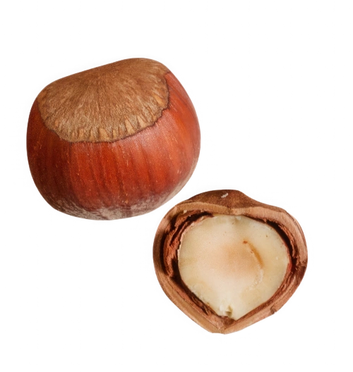 Castaña
