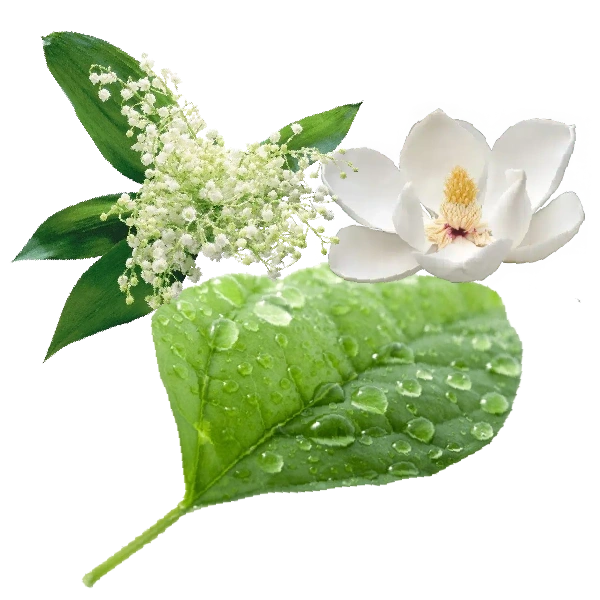 Mahonial