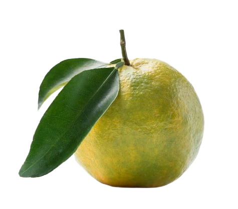Mandarina Verde