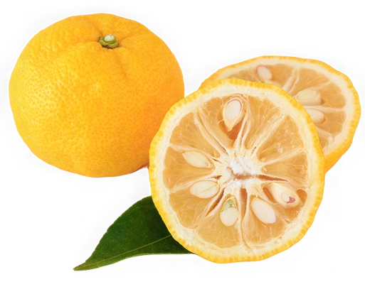 Yuzu