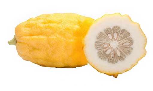 Cidra