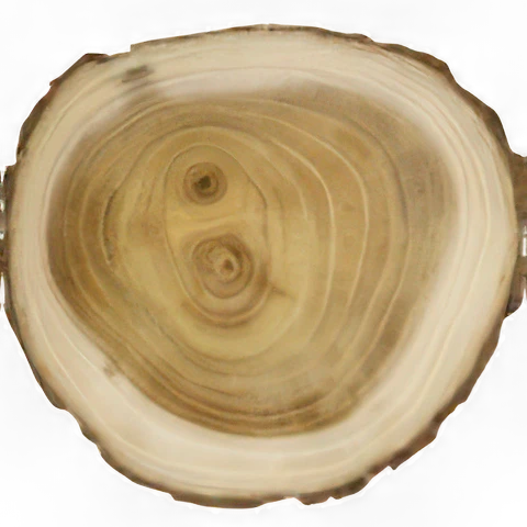 Madera de Guayaco