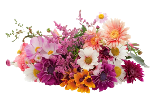 Notas Florales