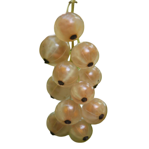White Currant