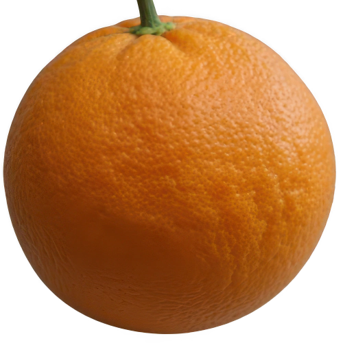 Bitter Orange